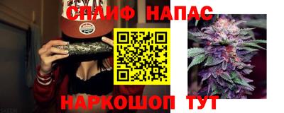 индика Пушкино