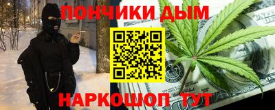 индика Пушкино