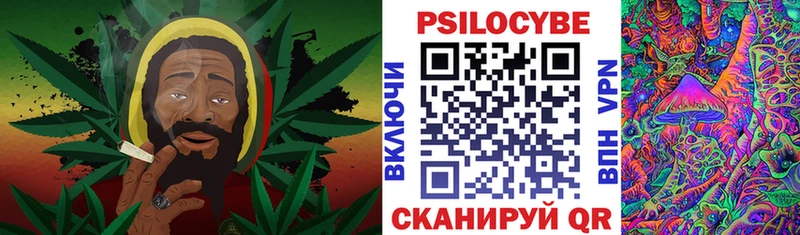 Псилоцибиновые грибы MAGIC MUSHROOMS  где продают наркотики  Торжок 