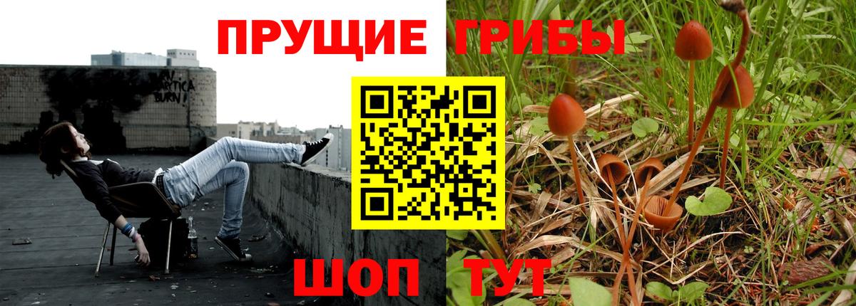 Галлюциногенные грибы прущие грибы  Вход с VPN  Торжок 