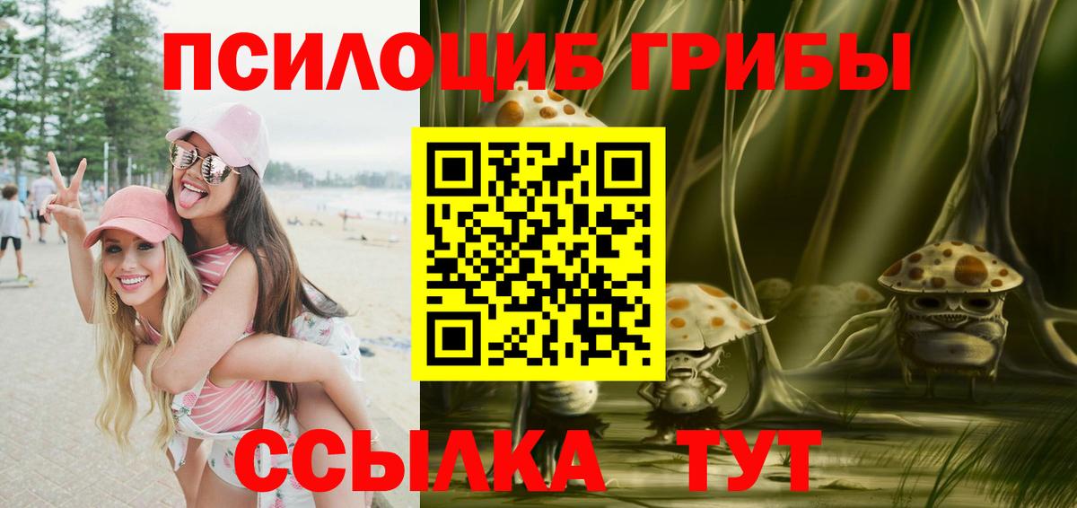 Псилоцибиновые грибы ЛСД Торжок